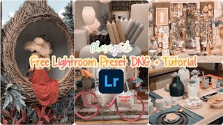 Free Lightroom Preset | DNG + Tutorial  #ChangSik screenshot 3