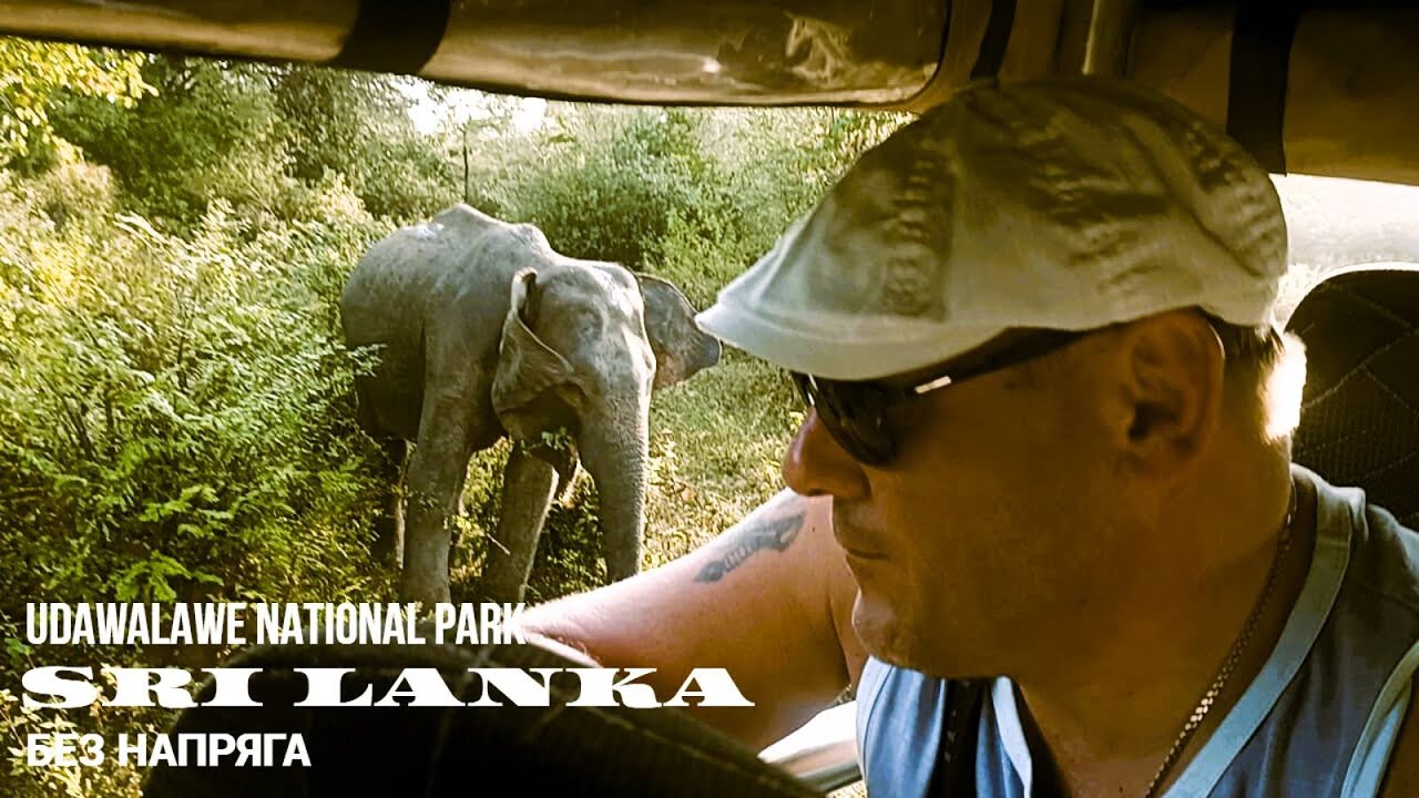 CHILLOUT TRAVEL UDAWALAWE NATIONAL PARK SRI LANKA SAFARI БЕЗ НАПРЯГА