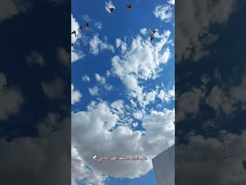 على دارك من يحط الطير احاچي مرتضى حرب