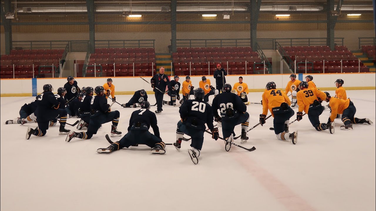 Meet the University of Windsor Men's Hockey Team YouTube