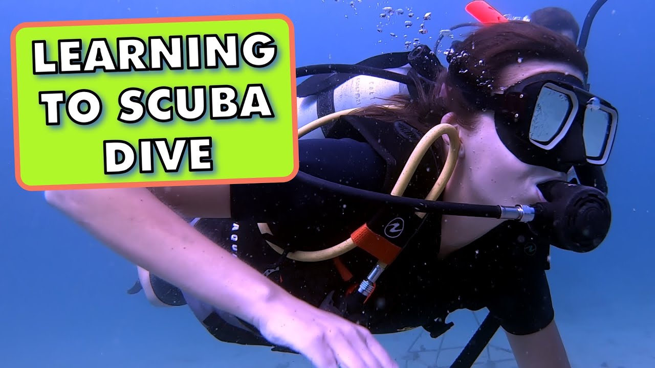 PADI Open Water Course in Koh Tao, Thailand 2022