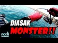 TRIP BALAS DENDAM PKP! | Kayak Fishing ZERO to HERO! #v7