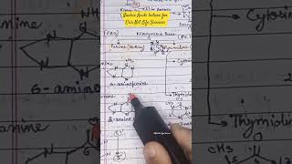 Nucleic Acids lecture for Csir Net #nucleicacids #csirnet #biochemistry #csir #csirnetlifescience