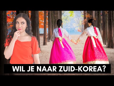 Waarom Zuid-Korea bijzonder is voor Nederland | TRAVEL VLOG IV