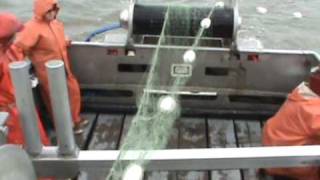 COMMERCIAL FISHING WITH GILLNET ON BRISTOL BAY SOCKEYE SALMON PART2
