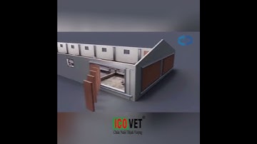 Nguyên lý làm mát chuồng nuôi heo #heo #pig #chốngnóng