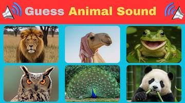 Guess the Animal Before Time Runs Out!🤔🔍|Animal Sound Quiz