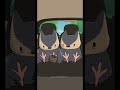 FILHOTES CORUJAS @NaturalHabitatShorts DUBLADO