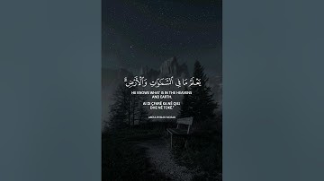 تلاوة هادئة تريح الأعصاب 😴🎧 القارئ عبد الرحمن مسعد | سورة العنكبوت | Surah Al-'Ankabut | Ayah 52