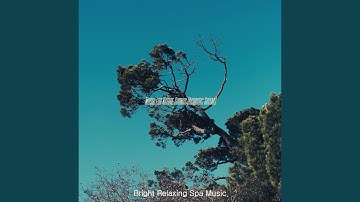 Modish Backdrops for Enchanting Serenity