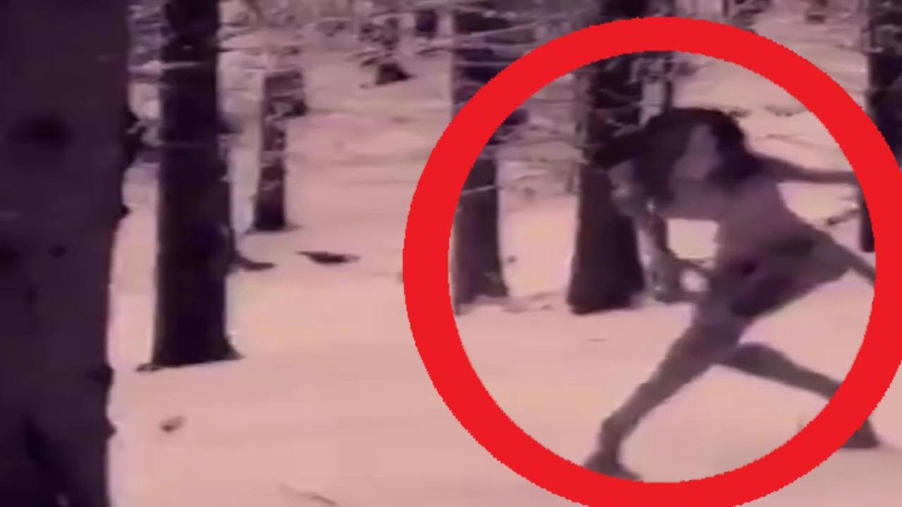 “Лучший сборник” Призраки и привидение, пришелец, существо, полтергейст ...