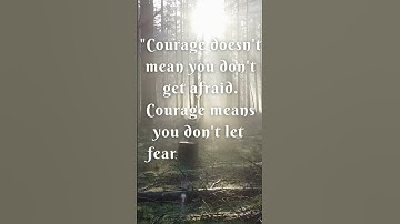Defying Fear: The True Meaning of Courage #shorts #shortsvideo