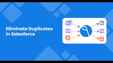Delpha | Eliminate duplicate data inside Salesforce