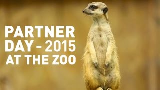 The Easy Software Uk 2015 Partner Day At London Zoo