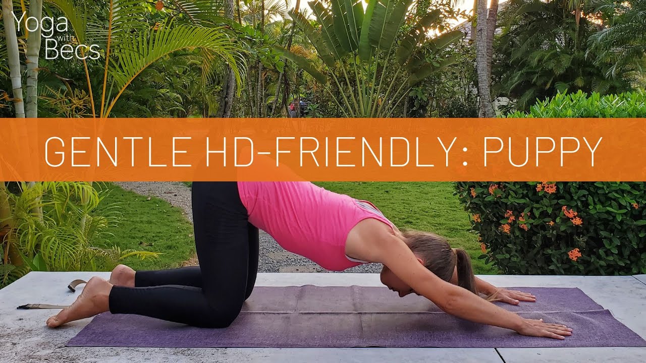 Gentle Herniated Disc Friendly Yoga: Puppy | 15 min | Yoga with Becs