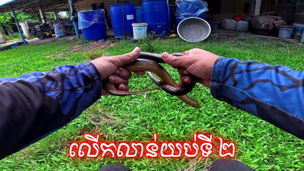 ទីតាំងដដែល លើកលាន់យប់ទី២ វីដេអូទី៧