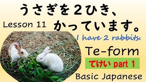 Japanese Grammar Module Lesson 11 Te-form てけい …teimasu, …tekudasai etc, Japanese sentence structure