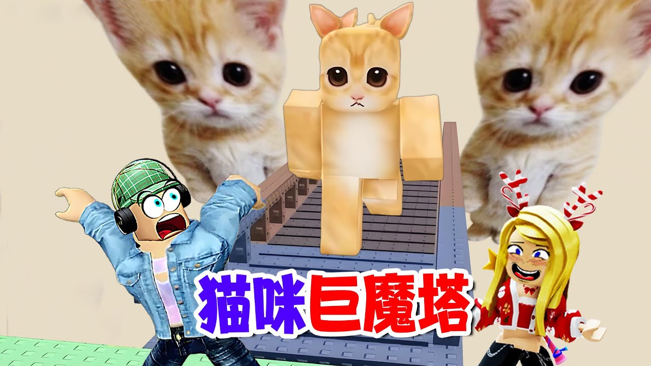 貓咪巨魔塔：笑哭了！爬塔躲貓咪，小心被貓推下來 | Ay mi Gatito Tower ROBLOX