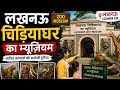 लखनऊ म्यूजियम ||mami ghar lucknow || lucknow chidiyaghar ka museum #lucknowkamamighar