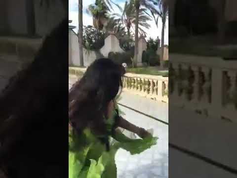 فيفي عبده مولعه الدنيا