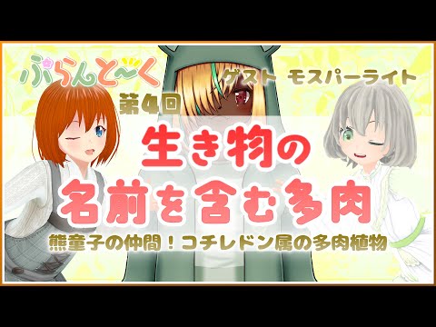 【植物トークコラボ】モスパーライトさんと見る多肉植物の仲間たち！【第四回】