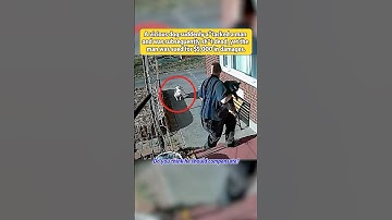Avicious dog suddenlyatacked a manand was subsequentlysht dead, yet theman was sued for$5,000 in