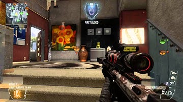 Across The Map Combat Axe Kill! (Black Ops II)