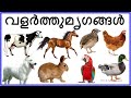 Domestic animals names and pet animals in malayalam   prinitmalayalam