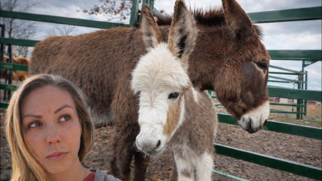 I’m Not Ready For Them To Leave…