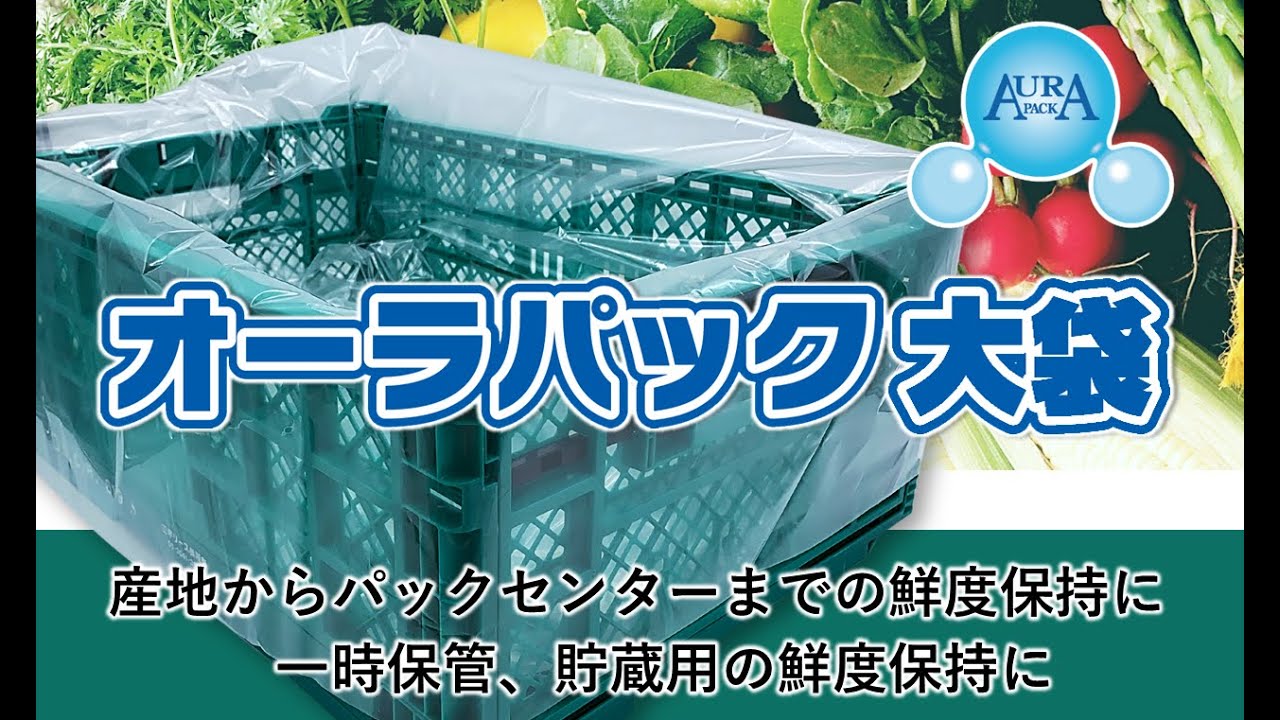 オーラパック大袋9085規格品 - 株式会社ベルグリーンワイズ｜野菜袋