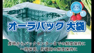 オーラーパック 鮮度保持袋 オーラパック大袋7663規格品 ベルグリーンワイズ