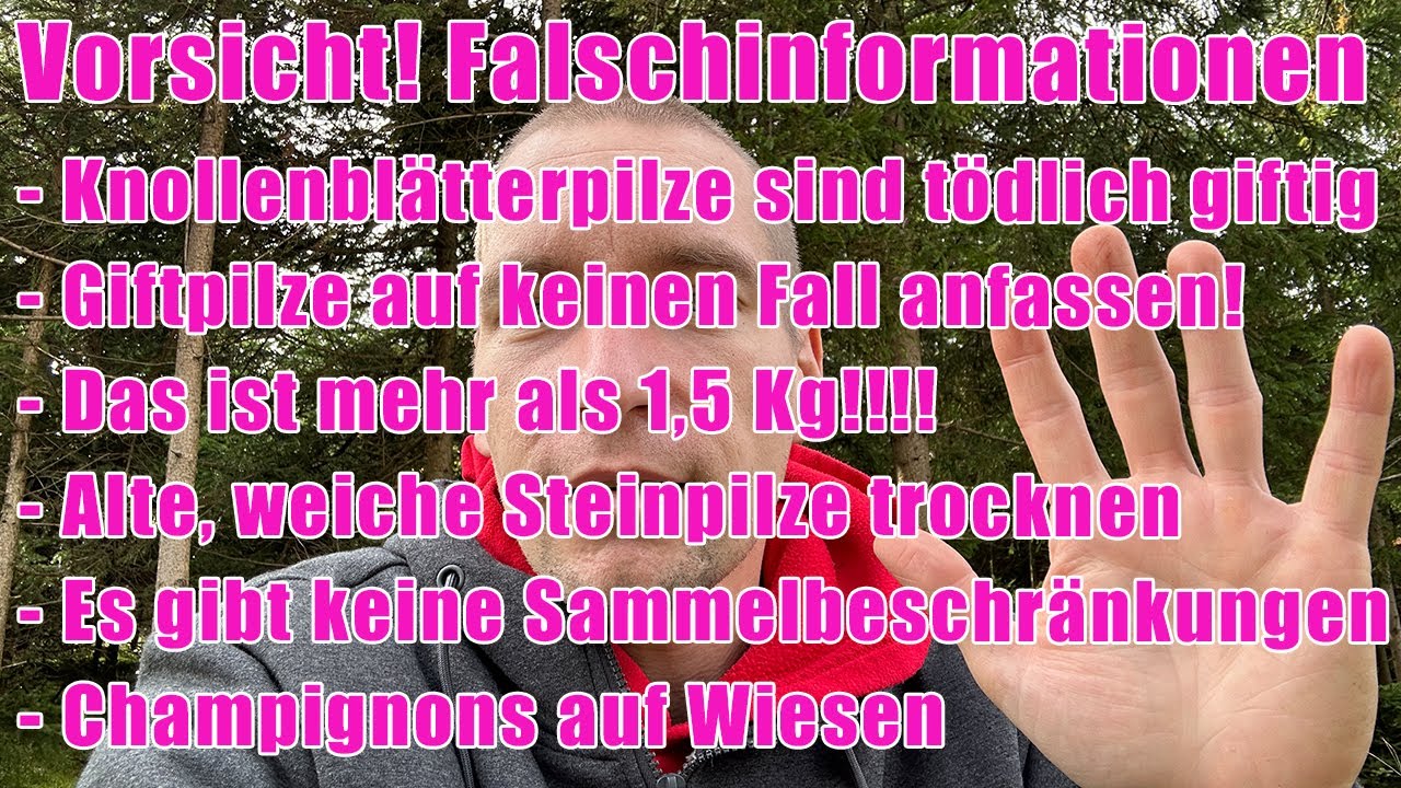 Nie mehr als 1,5 Kg sammeln! Giftpilze nie anfassen, Knollenblätterpilze sind giftig | Pilzwissen