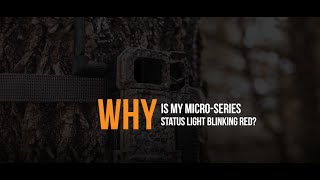Why is my MICRO-Series SPYPOINT Camera Status Light Blinking Red? | SPYPOINT