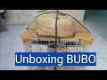 UNBOXING BUBO ...