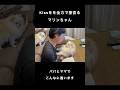 親父のKissを全力で拒否るポメラニアン笑