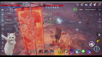 Mir4 - Is this a bug?  2/2 ASIA 12