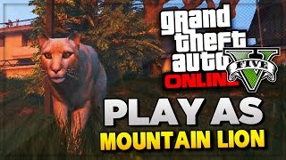 Gta5 犬や猫に変身する方法 4足動物ペヨーテのある場所 Ps4 Xboxone版 グランド セフト オート5 写真大好きブログ Gta5攻略情報ほか