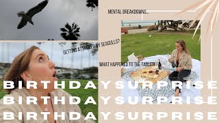 Attempting to Surprise My Best Friend For Her Birthday | What Went Wrong?! Attacked by Seagulls??