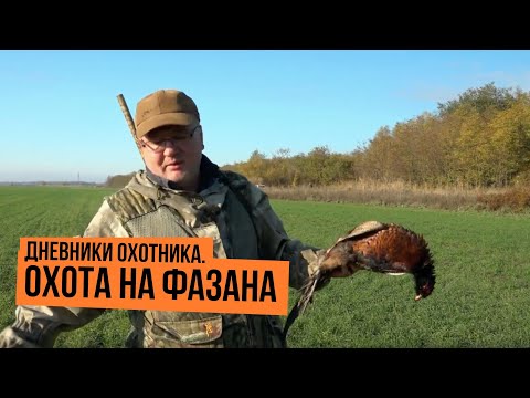 Охота на фазана \ Дневники охотника \ Сезон 2