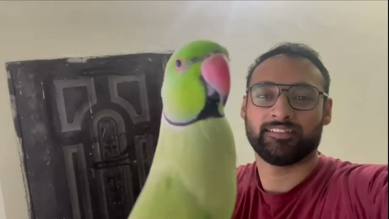 Inside Team K Customs