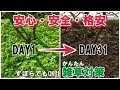 【雑草の上に防草シートを敷いてみた】SDGs：最強格安の雑草対策？Boiled water and Weed proof sheet over soil to reuse and regenerate