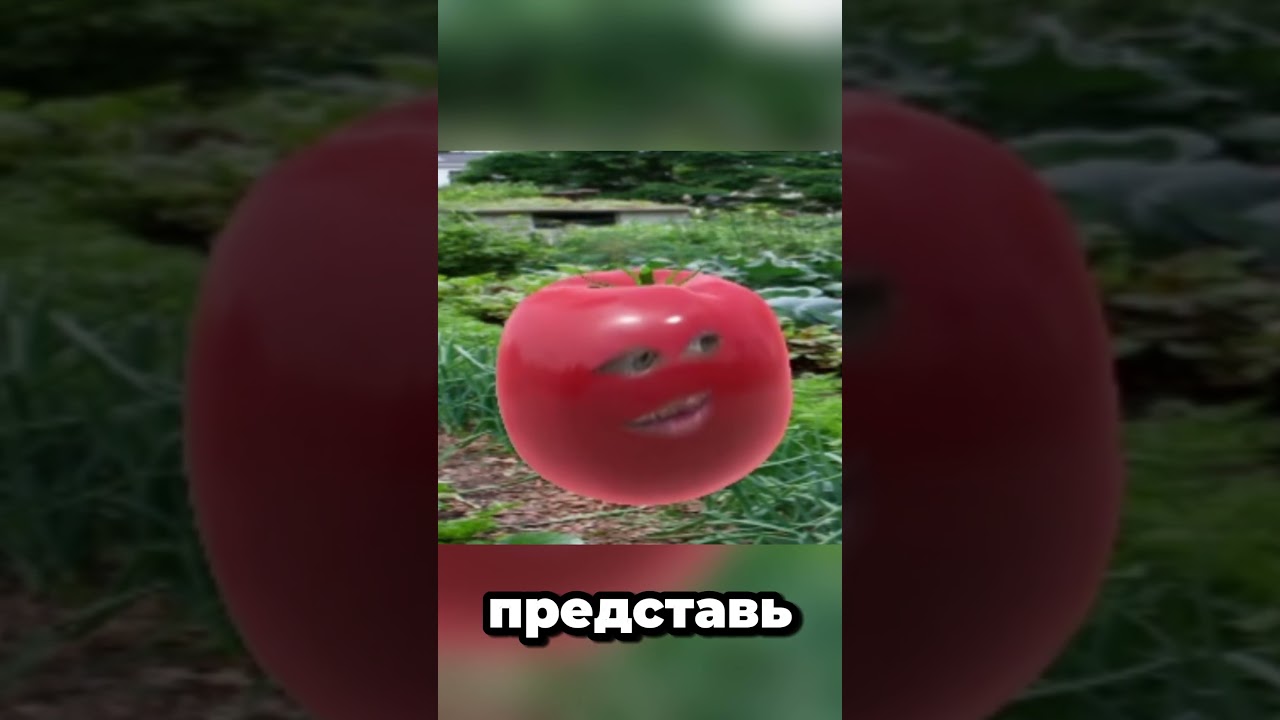 Моменты со стрима #sleduck #vtuber #twitch