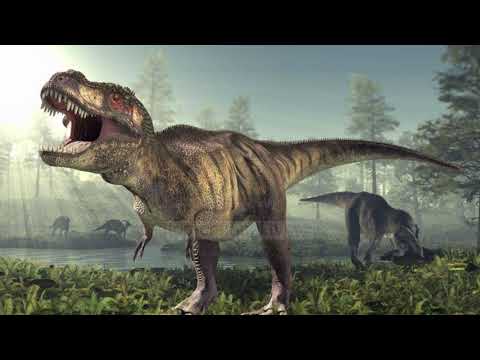Video: A mund të mbijetojnë dinosaurët sot?