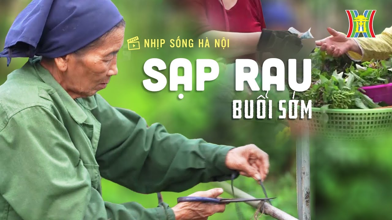 Sạp rau buổi sớm | Nhịp sống Hà Nội - YouTube