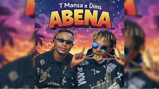 Dims Ft. T Mansa - Abena Audio Officiel