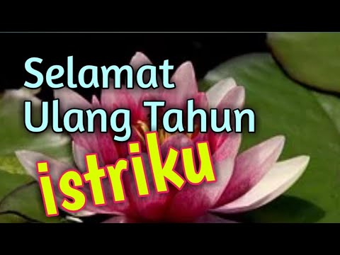 Video: Untuk ucapan selamat hari lahir isteri?