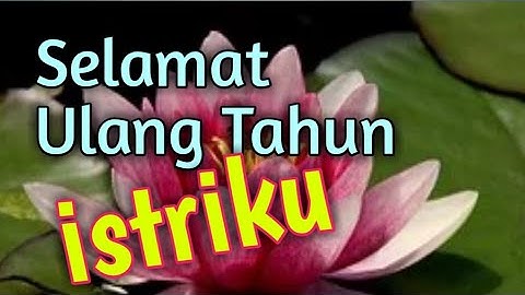 KADO UCAPAN SELAMAT ULANG TAHUN ROMANTIS UNTUK ISTRI