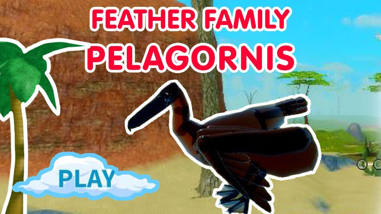  FEATHER  FAMILY  PELAGORNIS UPDATE NEW BIRD YouTube