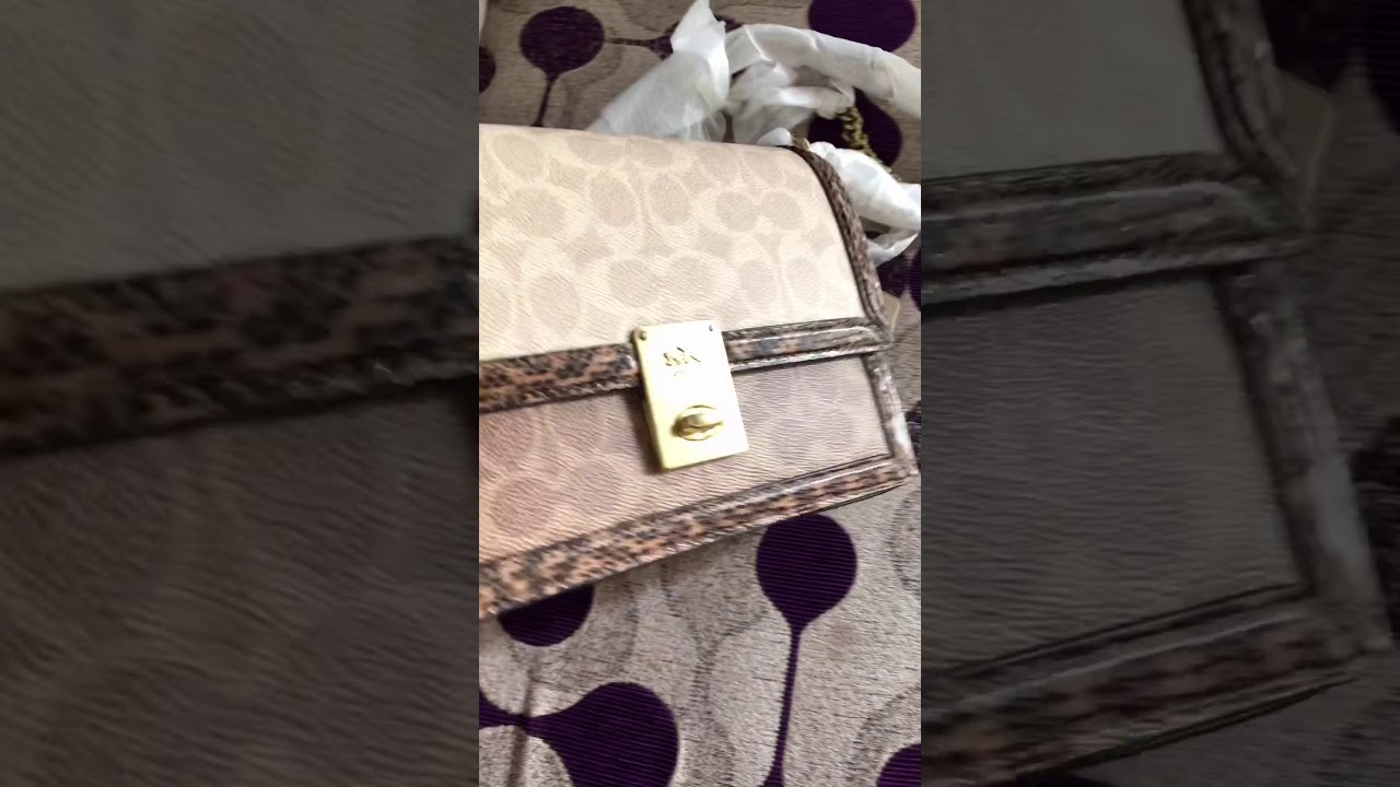 Coach Hutton Bag in Blocked Signature Canvas Snake Skin / Coach Hutton