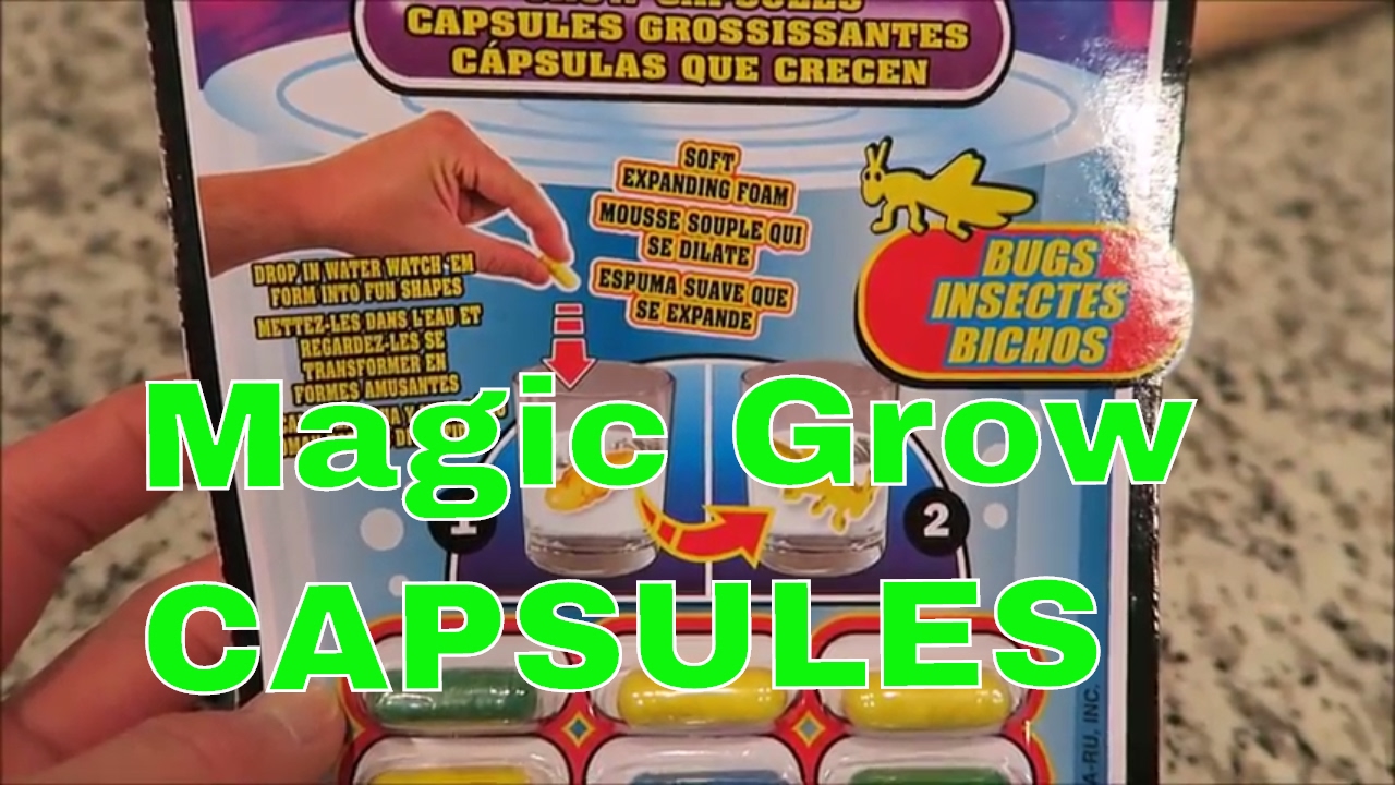 FUN Kids Activity -- Let's Grow Insects! || MAGIC GROW Capsule
